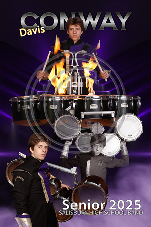 Davis Band Banner 24