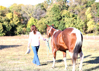 Krista Francis with Horses 22